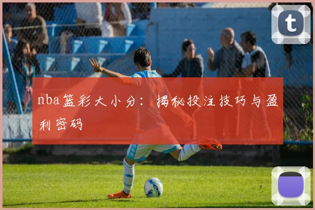 nba篮彩大小分：揭秘投注技巧与盈利密码