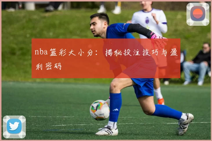 nba篮彩大小分：揭秘投注技巧与盈利密码