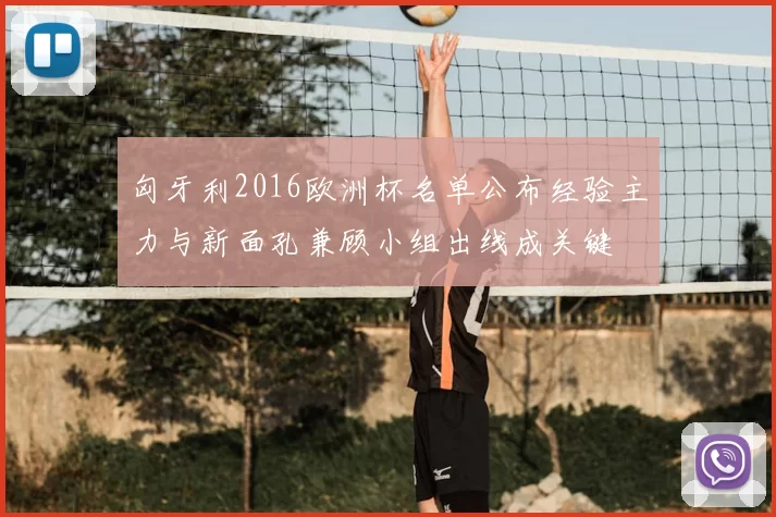 匈牙利2016欧洲杯名单公布经验主力与新面孔兼顾小组出线成关键