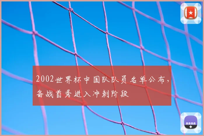 2002世界杯中国队队员名单公布，备战首秀进入冲刺阶段